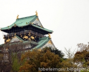 Castelo De Osaka (1)