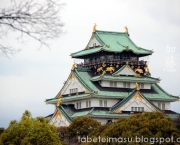 Castelo De Osaka (2)