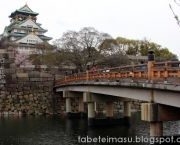 Castelo De Osaka (3)