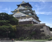 Castelo De Osaka (6)