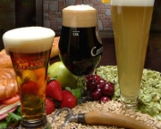 cervejas-gourmet-americanas-no-brasil-3