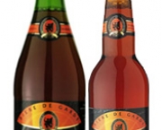 cervejas-gourmet-jenlain-ambree-10