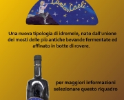cervejas-italianas-no-brasil-grado-plato-2