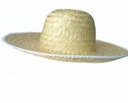 chapeu-de-palha-6