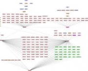 characteristics-are-expressed-by-dominant-genes-1