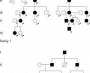 characteristics-are-expressed-by-dominant-genes-3