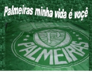 clube-palmeiras-8
