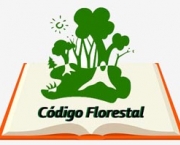 codigo-florestal16