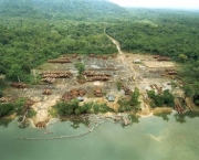codigo-florestal2