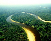 codigo-florestal6
