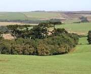 codigo-florestal8