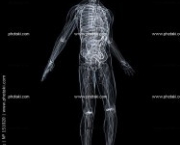 coluna-vertebral-anatomia-11