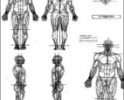 coluna-vertebral-anatomia-15