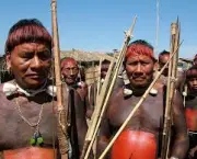 combate-aos-indigenas-lei-do-povoamento-2