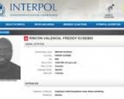 como-a-interpol-e-organizada-2