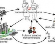 como-acontece-o-contagio-da-hepatite-c-2