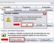 como-excluir-um-cookie-12