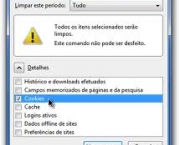 como-excluir-um-cookie-3
