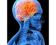como-funciona-a-estimulacao-da-saliva-2