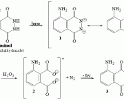 Como Funciona O Luminol (1)