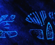 Como Funciona O Luminol (8)