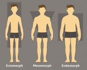 Como Saber se Sou Mesomorfo (2)