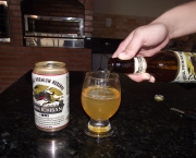como-servir-sua-cerveja-corretamente-11