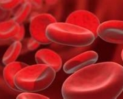 composicao-do-sangue-5