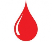 composicao-do-sangue-7