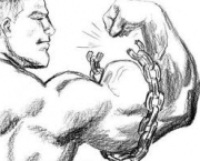 construcao-de-um-musculo-1