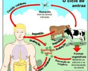 contaminacao-na-pele-1