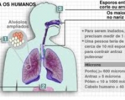 contaminacao-pulmonar-3
