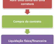 contratos-futuros-liquidar-valores-e-entregar-no-bovespa-4