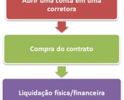 contratos-futuros-liquidar-valores-e-entregar-no-bovespa-4