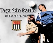 copa-sao-paulo-2011-6