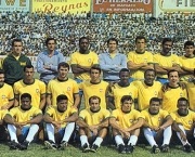 copas-que-o-brasil-foi-campeao-5