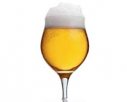 copos-ideais-de-cerveja-a-tulipa-6