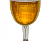 copos-ideais-de-cerveja-o-calice-13
