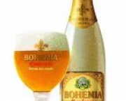 copos-ideais-de-cerveja-o-calice-5