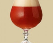copos-ideais-de-cerveja-o-conhaque-11
