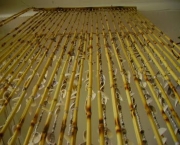cortina-de-bambu-19