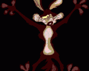 coyote-looney-tunes-12