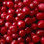 The Cranberries 4
