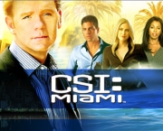 csi-miami-e-csi-nova-york-2