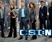 csi-miami-e-csi-nova-york-3