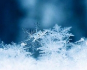 Curiosidades Sobre Flocos de Neve (2)