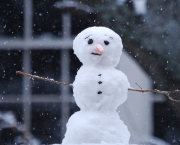 Curiosidades Sobre Flocos de Neve (11)