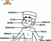 curiosidades-sobre-o-corpo-humano-3