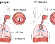 curiosidades-sobre-o-soluco-e-como-acabar-com-ele-2