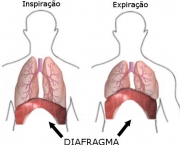 curiosidades-sobre-o-soluco-e-como-acabar-com-ele-6